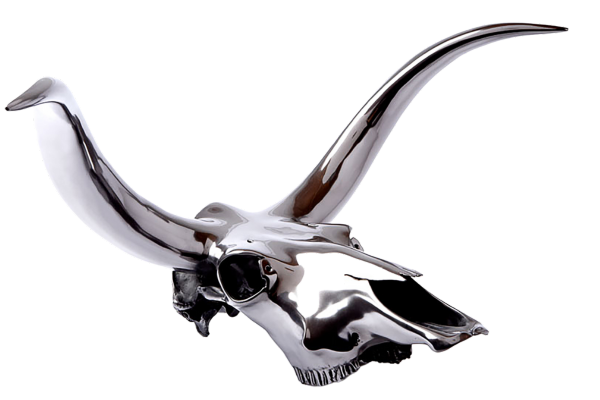 Polished silver-finish cattle skull with long horns